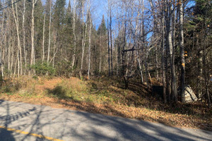 Działka na sprzedaż Mtée des Pins-Rouges, Mont-Laurier, QC J9L3G5, CA - zdjęcie 2