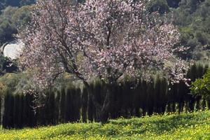 Działka na sprzedaż Andaluzja Malaga - zdjęcie 3