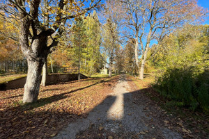 Komercyjne na sprzedaż 409m2 Aloja parish - zdjęcie 3