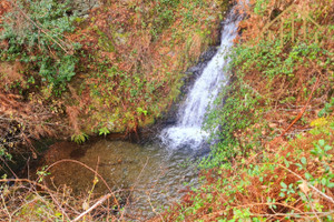 Dom na sprzedaż 175m2 Viseu Sao Pedro do Sul - zdjęcie 2