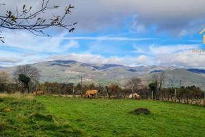 Dom na sprzedaż 229m2 - zdjęcie 3