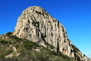 Dom na sprzedaż 175m2 Walencja Alicante Hondón de las Nieves, Hondón de las Nieves Suburb - zdjęcie 3