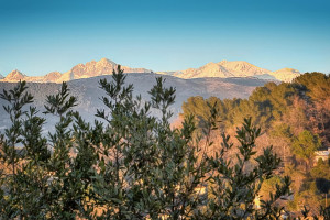 Dom na sprzedaż 182m2 Prowansja-Alpy-Lazurowe Wybrzeże Valbonne - zdjęcie 2