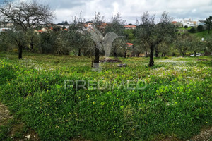 Działka na sprzedaż Leiria Leiria Stª Catarina da Serra e Chainça - zdjęcie 1