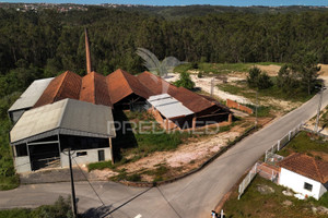 Komercyjne na sprzedaż 350m2 Leiria Leiria Stª Catarina da Serra e Chainça - zdjęcie 1