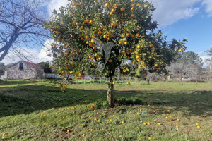 Działka na sprzedaż Santarm Ferreira do Z&#234;zere Beco - zdjęcie 3