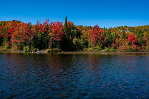 Działka na sprzedaż Ch. du Lac-Thurson, Wentworth-Nord, QC J0T1Y0, CA - zdjęcie 2