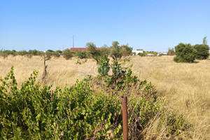 Działka na sprzedaż Portalegre Campo Maior - zdjęcie 1