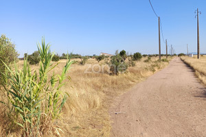 Działka na sprzedaż Portalegre Campo Maior - zdjęcie 2