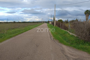 Działka na sprzedaż Portalegre Campo Maior - zdjęcie 1