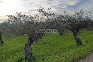 Działka na sprzedaż Portalegre Campo Maior - zdjęcie 1