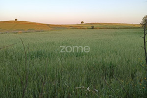 Działka na sprzedaż Portalegre Campo Maior - zdjęcie 2