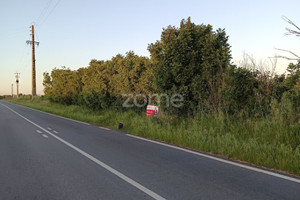 Działka na sprzedaż Portalegre Campo Maior - zdjęcie 3