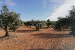 Działka na sprzedaż Portalegre Campo Maior - zdjęcie 2