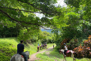 Komercyjne na sprzedaż 18m2 VFJF+J79, Guanacaste Province, Sámara, Costa Rica - zdjęcie 2