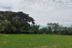 Działka na sprzedaż Rozo-Palmira, Palmira, Valle del Cauca, Colombia - zdjęcie 2