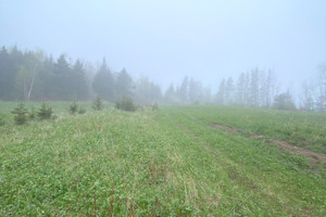 Działka na sprzedaż Route 132 O., Grosses-Roches, QC G0J1K0, CA - zdjęcie 4