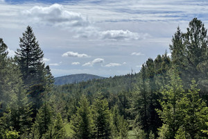 Działka na sprzedaż TBD Billy Creek Access Rd - zdjęcie 2