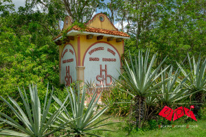 Komercyjne na sprzedaż 1400m2 Izamal - zdjęcie 3