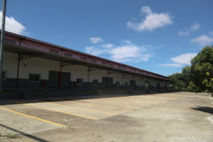 Komercyjne do wynajęcia 600m2 2GRJ+66M, C. 122 Oeste, Panamá, Provincia de Panamá, Panamá - zdjęcie 1