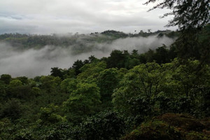 Komercyjne na sprzedaż 421m2 Bajo Boquete, Provincia de Chiriquí, Panamá - zdjęcie 1