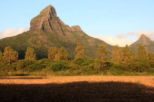 Dom na sprzedaż 272m2 - zdjęcie 2