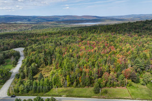 Działka na sprzedaż Av. Roy, Saint-Joseph-de-Coleraine, QC G0N1B0, CA - zdjęcie 1