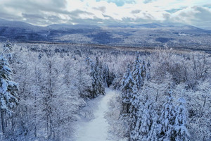 Działka na sprzedaż 8e Rang E., Notre-Dame-des-Bois, QC J0B2E0, CA - zdjęcie 3