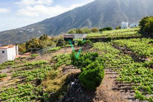 Dom na sprzedaż 2224m2 - zdjęcie 1