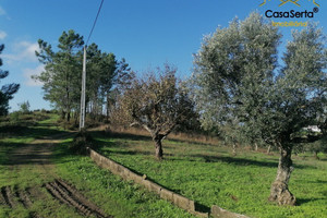 Działka na sprzedaż Castelo Branco Serta Cumeada e Marmeleiro - zdjęcie 2