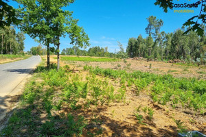 Działka na sprzedaż Castelo Branco Serta Sertã - zdjęcie 3