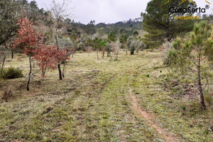 Działka na sprzedaż Coimbra Miranda do Corvo Lamas - zdjęcie 2