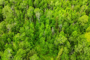 Działka na sprzedaż Vermillion Lake Road - zdjęcie 2