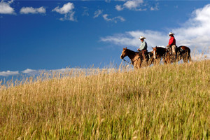 Działka na sprzedaż 27150 Cowboy Up Road - zdjęcie 2