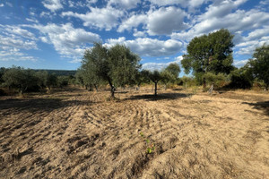 Działka na sprzedaż Castelo Branco Penamacor - zdjęcie 1