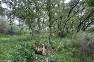 Działka na sprzedaż Castelo Branco Penamacor - zdjęcie 1