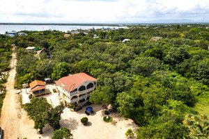 Dom na sprzedaż 4500m2 HJ4Q+P4J, Placencia, Belize - zdjęcie 3