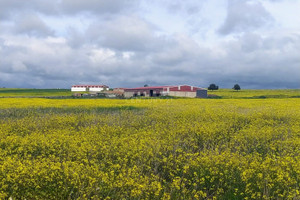 Dom na sprzedaż 2500m2 - zdjęcie 3