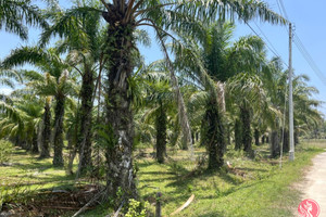 Działka na sprzedaż Phang Nga, Phang Nga, Thailand - zdjęcie 1