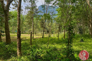 Działka na sprzedaż Khao Khram, Krabi, Thailand - zdjęcie 2