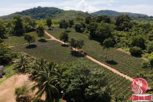 Działka na sprzedaż Mai Khao, Phuket, Thailand - zdjęcie 3