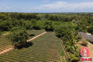 Działka na sprzedaż Mai Khao, Phuket, Thailand - zdjęcie 2