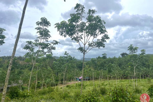 Działka na sprzedaż Phang Nga, Phang Nga, Thailand - zdjęcie 1