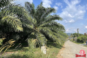 Działka na sprzedaż Phang Nga, Phang Nga, Thailand - zdjęcie 1