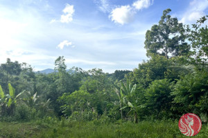 Działka na sprzedaż Phang Nga, Phang Nga, Thailand - zdjęcie 3