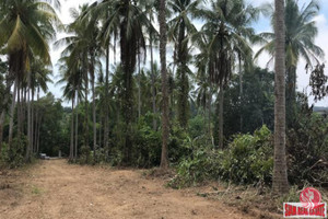 Działka na sprzedaż Phang Nga, Phang Nga, Thailand - zdjęcie 1