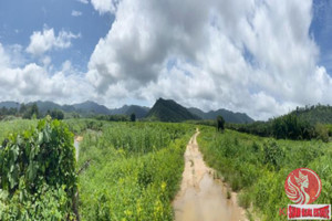 Działka na sprzedaż Khao Lak, Phang Nga, Thailand - zdjęcie 3