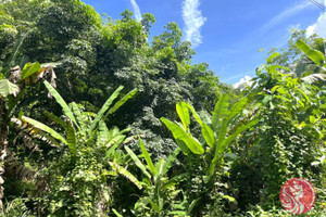 Działka na sprzedaż Phang Nga, Phang Nga, Thailand - zdjęcie 3