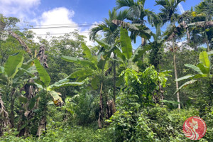 Działka na sprzedaż Phang Nga, Phang Nga, Thailand - zdjęcie 2