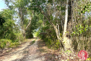 Działka na sprzedaż Phang Nga, Phang Nga, Thailand - zdjęcie 4